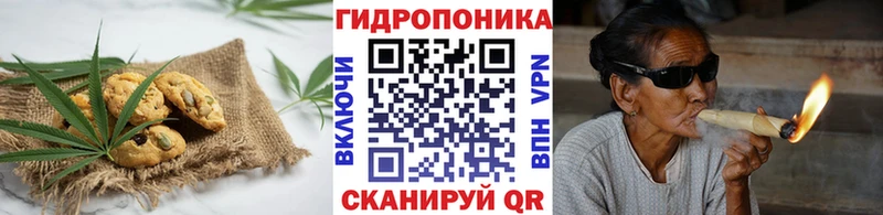 Canna-Cookies конопля  наркошоп  Чебаркуль 