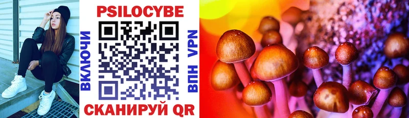 Псилоцибиновые грибы Psilocybe  купить  сайты  Чебаркуль 