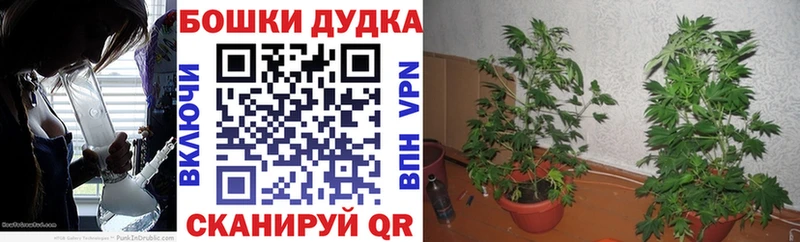 Марихуана ГИДРОПОН kraken ССЫЛКА Чебаркуль